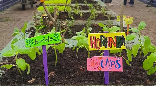 Projeto de horta transforma espaço e aproxima a comunidade