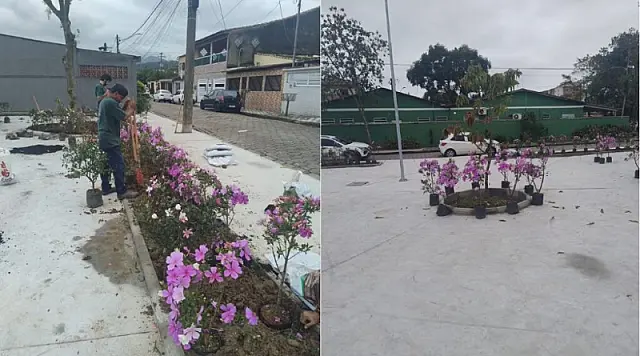 Plantio de flores transforma espaços de convivência da cidade
